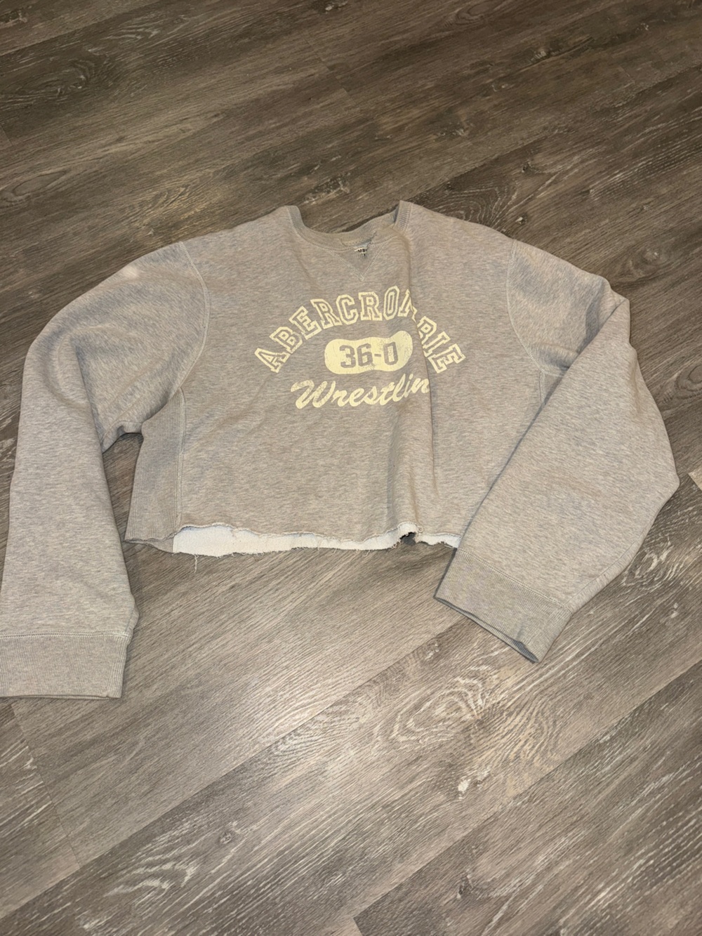 Vintage Abercrombie & Fitch Y2K crewneck sweatshirt